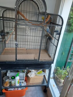 Vogelvoliere günstig abzugeben - 2
