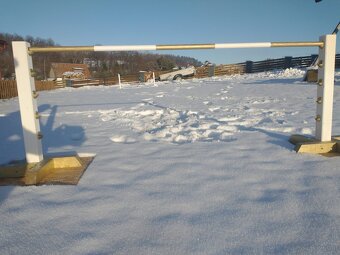 Hindernisse für HOBBY HORSE - 2