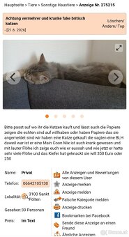 ❗️Vorsicht vor dieser Frau ❗️ - 2