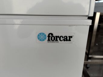 Gefrierschrank Forcar 439L - 2