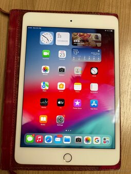 iPad mini 5 ,256 GB - 2