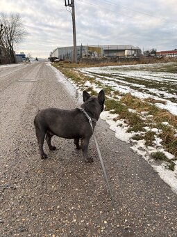 SPIKE SUCHT LIEBEVOLLES ZUHAUSE - 2