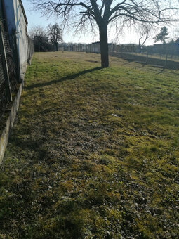 Ich verkaufe einen Garten - 2