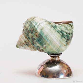 Kleinobjekt Muschel auf 925er Sterlingsilber - 2