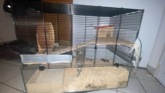 Hamsterkäfig und zwerghamster - 2