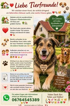 Suche ein Familienmitglied - 2