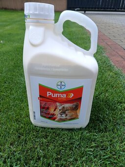 Puma Extra Hirsefrei - 2