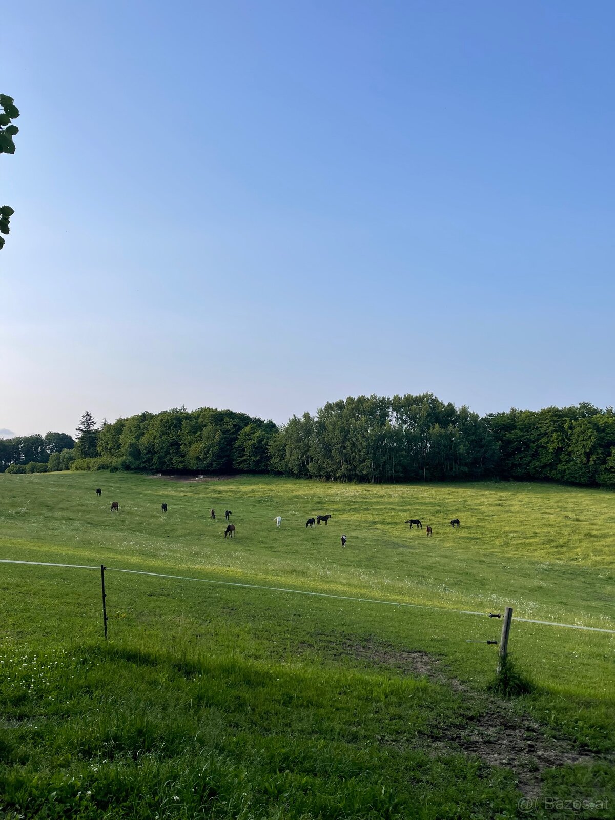 Fohlenstall – Bystřice nad Pernštejnem, 40 km von Brünn - 3