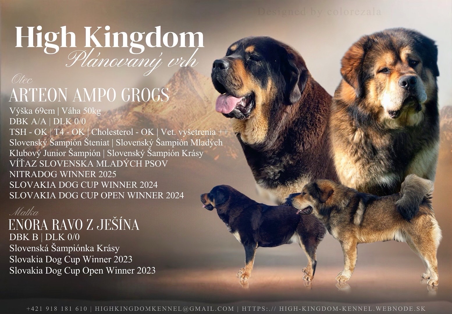 Tibetian Mastiff , Do khyi, Tibet doggen FCI - 3