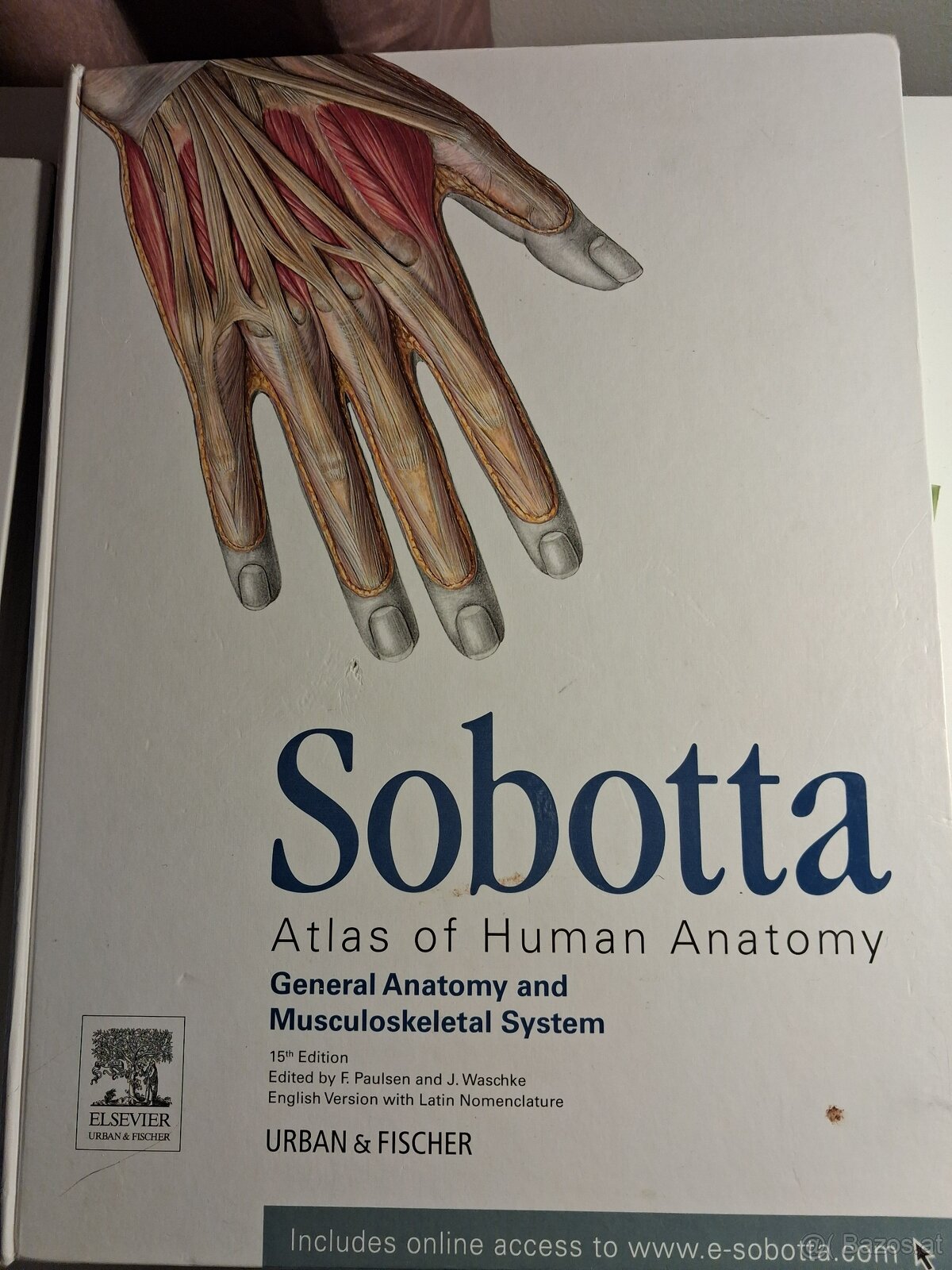 Anatomischer Atlas - 3