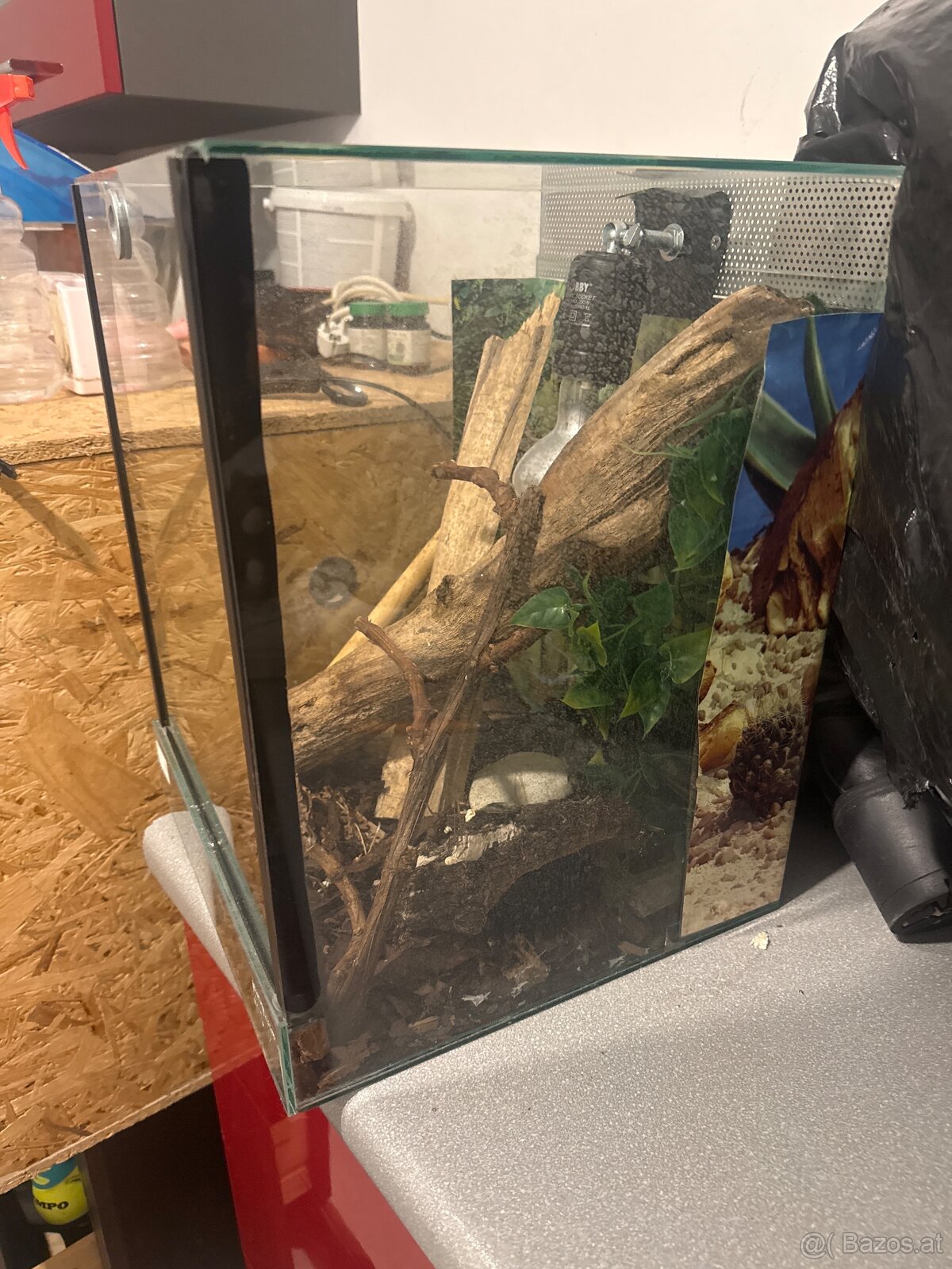 Kleine Terrarium - 3