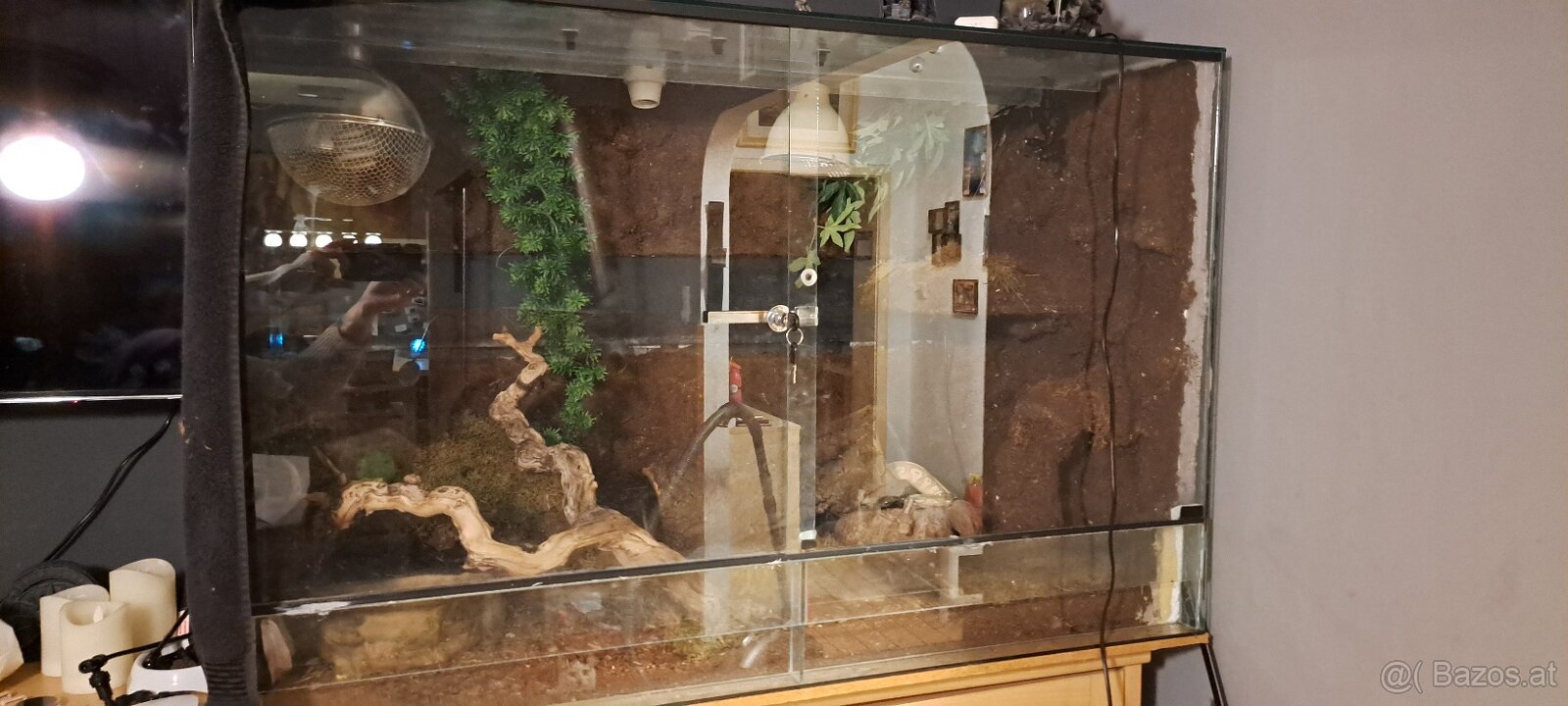 Terrarium inkl. viel Technik - 3