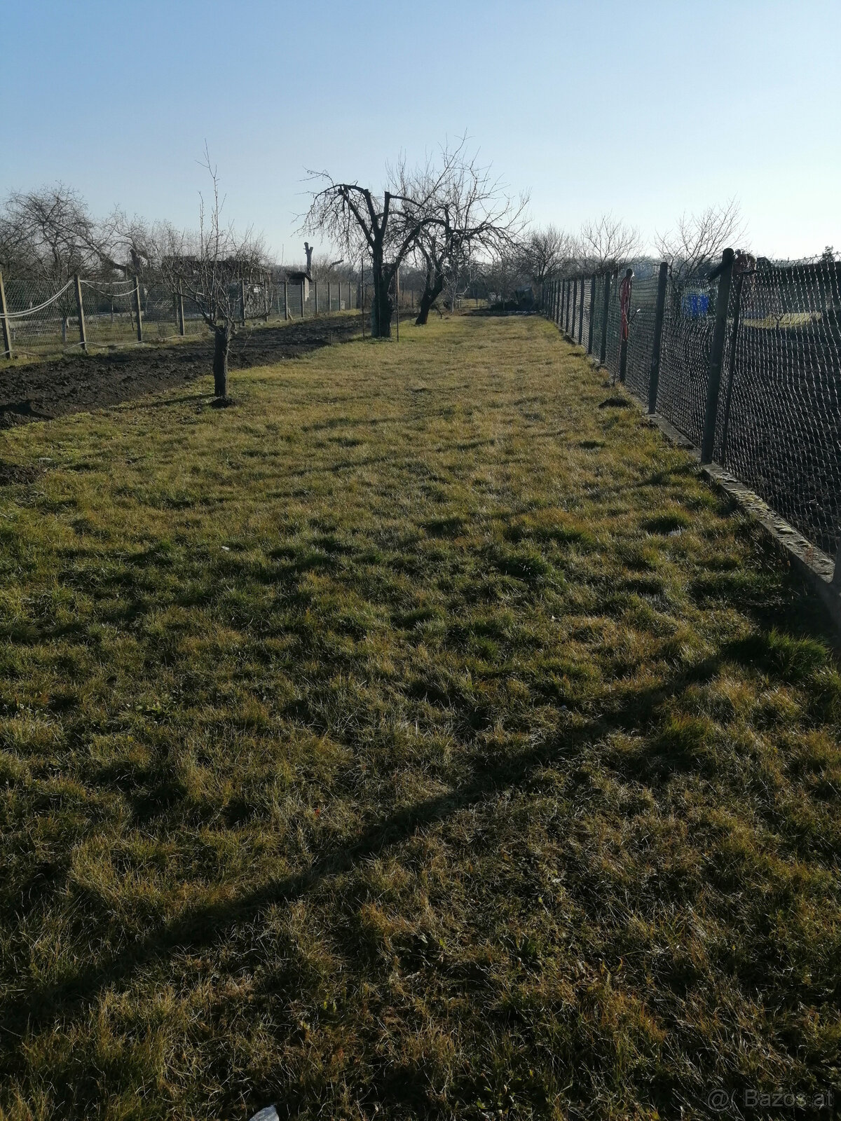 Ich verkaufe einen Garten - 3