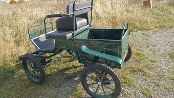 Shetland kleiner Lastenwagen, Kutsche - 3