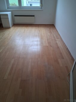Bad Tatzmannsdorf 47m² Wohnung zu vermieten - 3