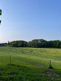 Fohlenstall – Bystřice nad Pernštejnem, 40 km von Brünn - 3