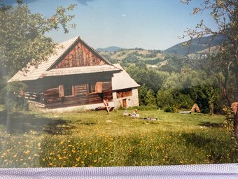 Hütte für Sommersaison 2025 oder langfristig zu vermieten. - 3