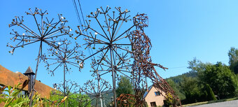 Löwenzahn - 3