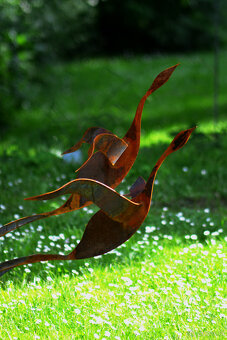 ENTEN - 3