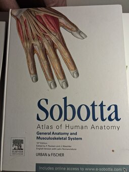 Anatomischer Atlas - 3