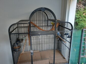 Vogelvoliere günstig abzugeben - 3