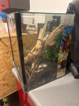 Kleine Terrarium - 3