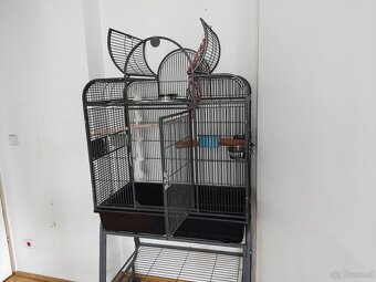 Papageien Käfig - 3