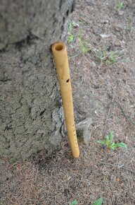 Priečna flauta (Querflöte) - 3