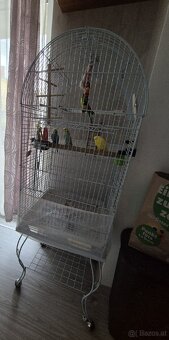 Vögel käfig - 3