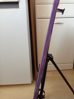 Frau mit Lilie - 3