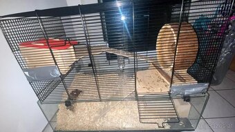 Hamsterkäfig und zwerghamster - 3