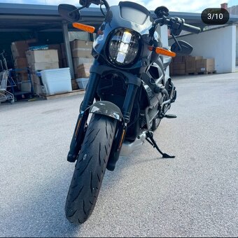 Harley - 3