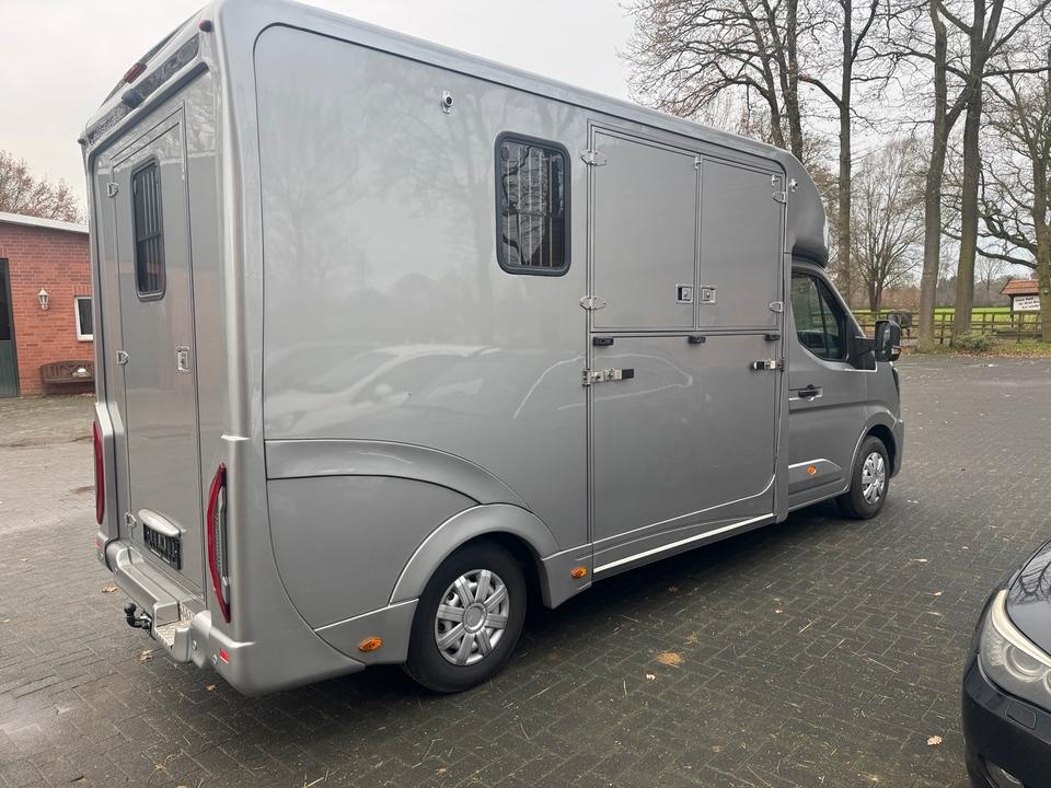 Pferdetransporter Renault Master Haras ATM 1-2 Pferde 150 PS - 4