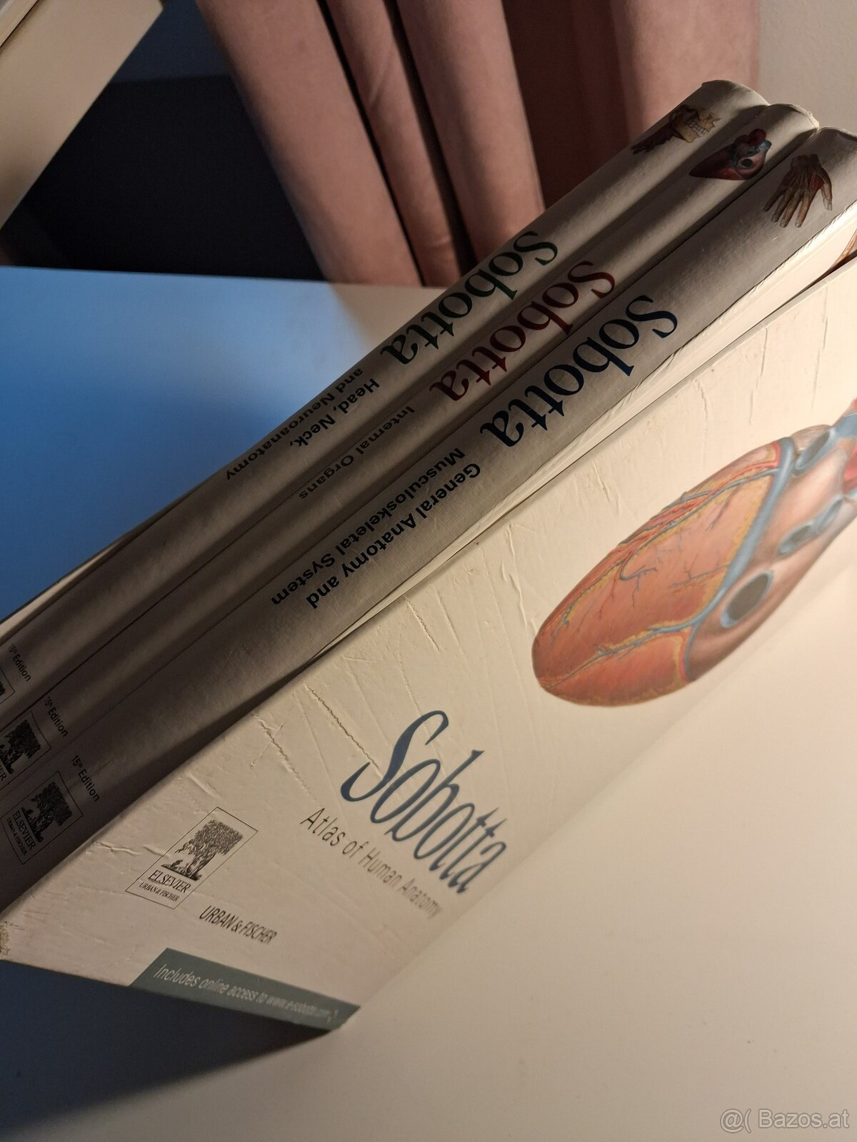 Anatomischer Atlas - 4