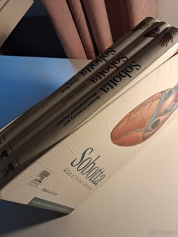 Anatomischer Atlas - 4