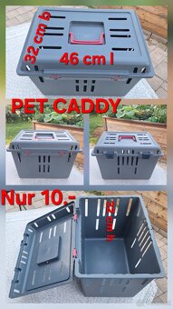 Mucki sucht tollen Lebensplatz - 4