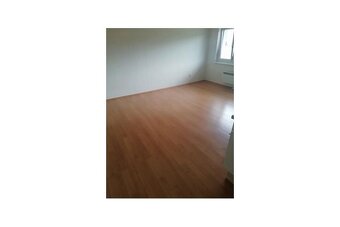 Wohnung 51m² + Balkon in Bad Tatzmannsdorf zu vermieten - 4