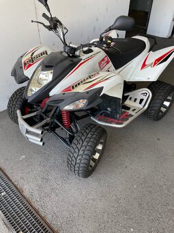 Quad  beeline 300ccm - 4