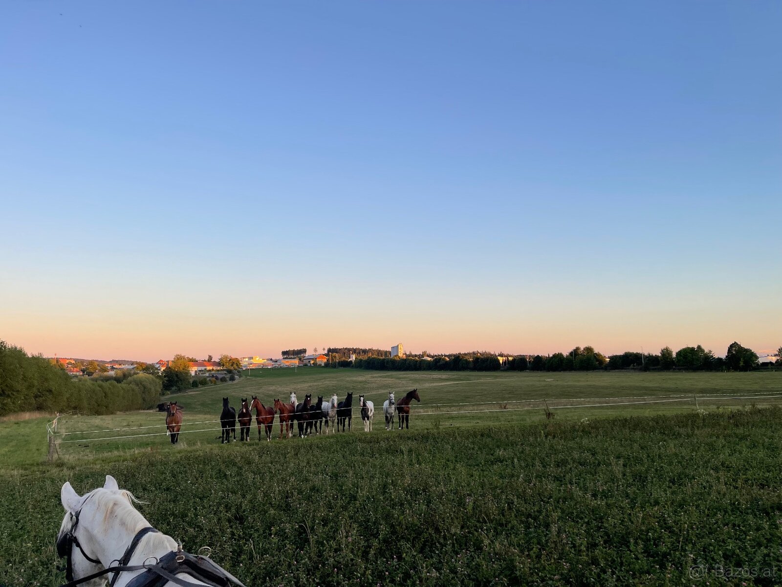 Fohlenstall – Bystřice nad Pernštejnem, 40 km von Brünn - 5
