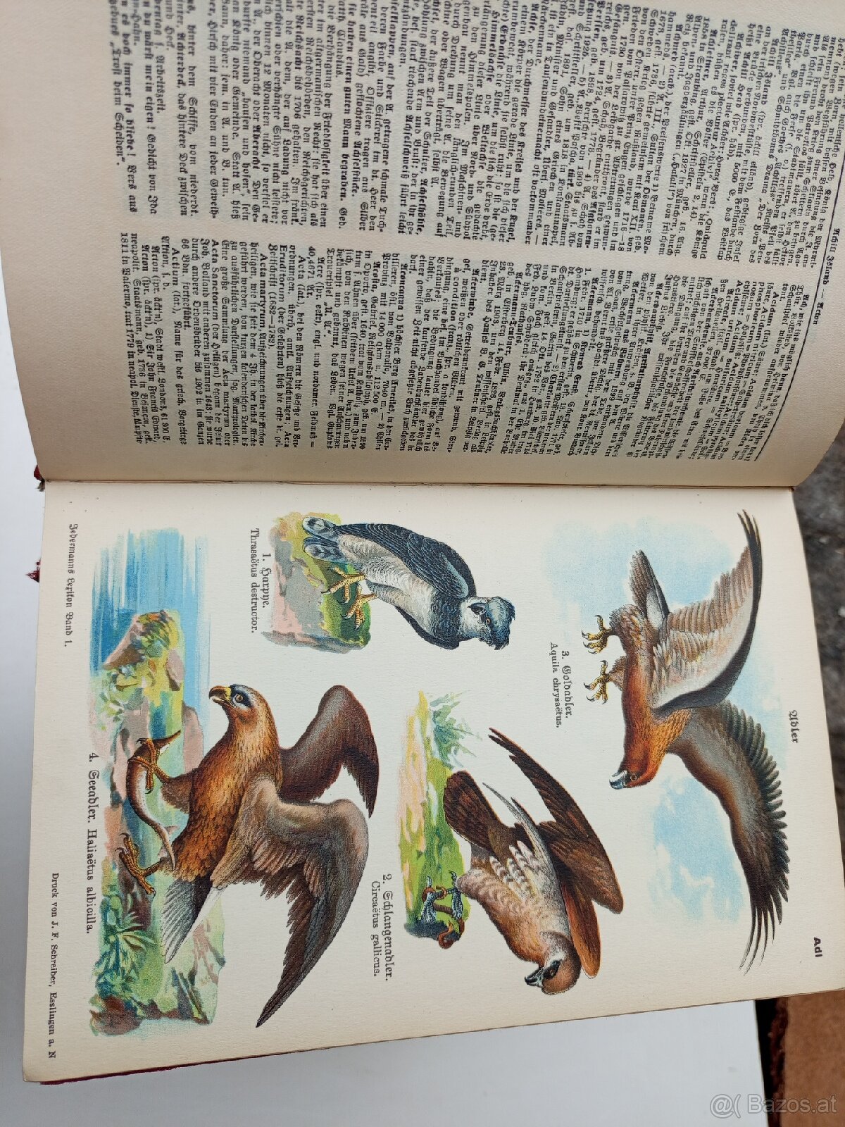 Jedermanns Lexikon – 10 Bände, antiquarisch - 5