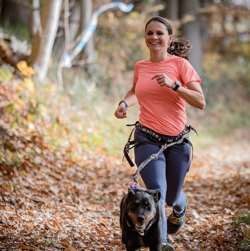 Zuverlässige Zuchtstätte für Beauceron-Hunde - 5
