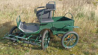 Shetland kleiner Lastenwagen, Kutsche - 5