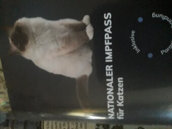 KATER FREUNDE AUFGEPASST - 5