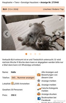 ⚠️Achtung verleumdung und Stalking⚠️ - 5
