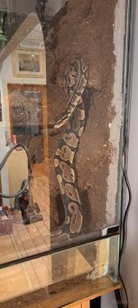 Terrarium inkl. viel Technik - 5