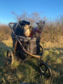 Hundebuggy bis 23 kg PetBuggy - 5