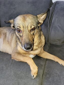 Elegante 3D-gedruckte Lesezeichen - 5