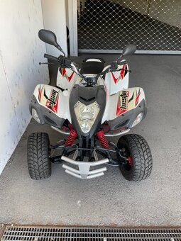 Quad  beeline 300ccm - 5