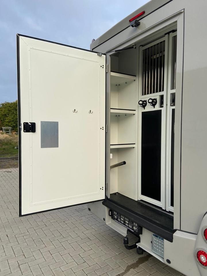 Pferdetransporter an: Renault Master - 6
