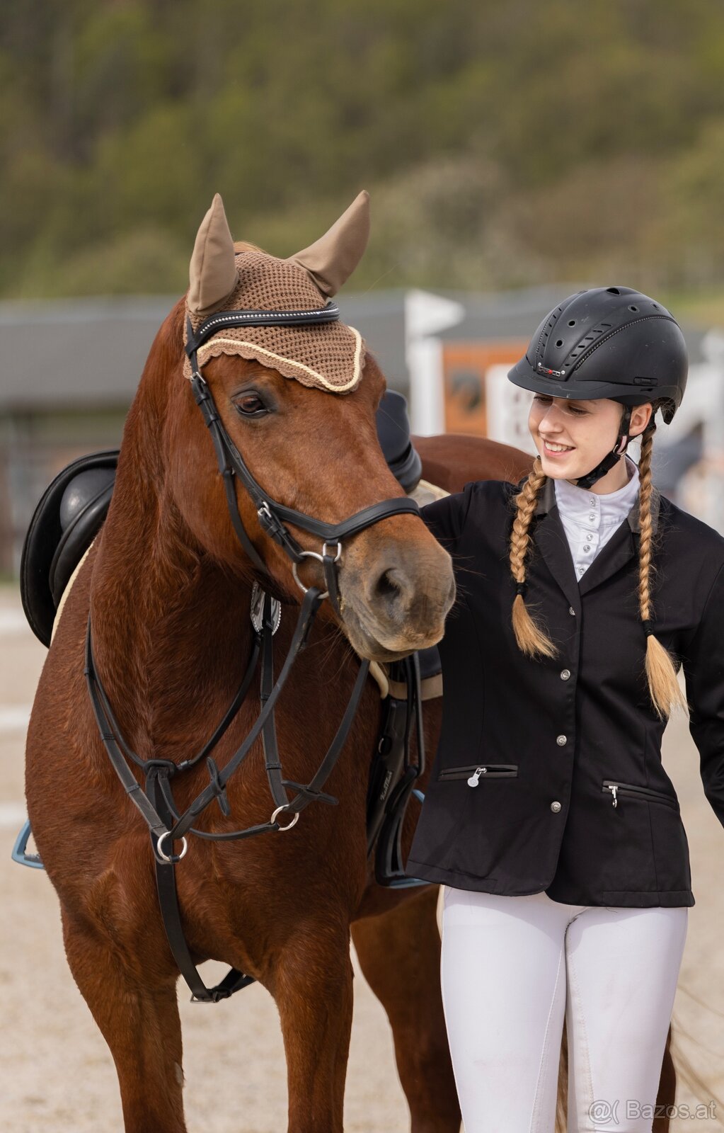 Charakterstarke Welsh-Cob-Stute - 6